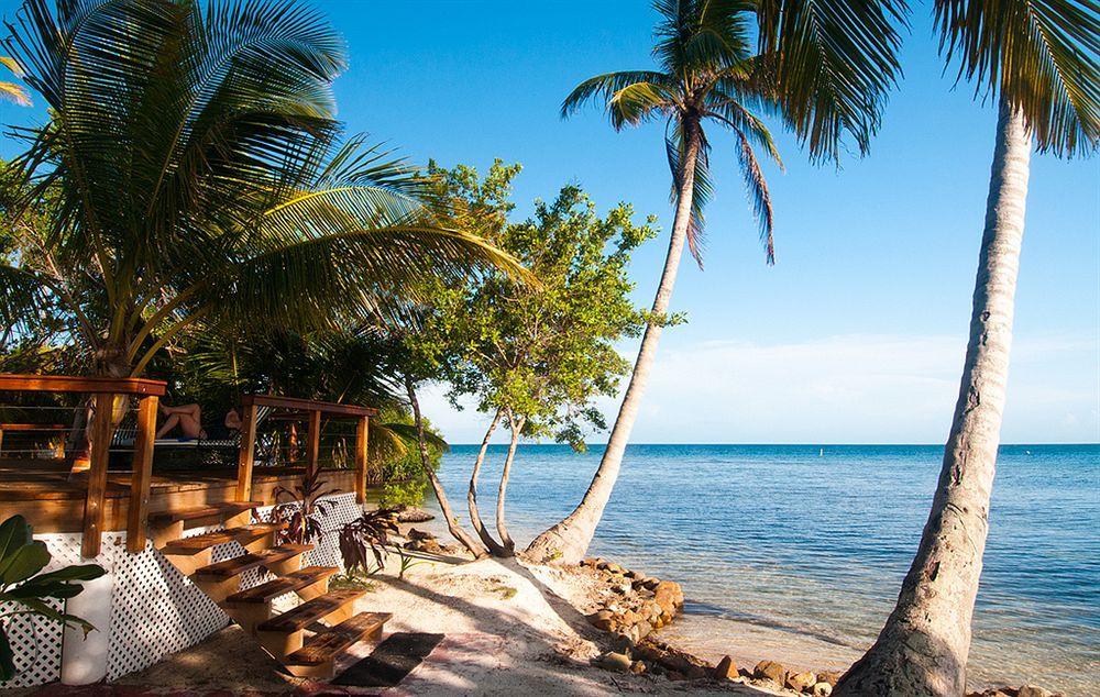 Hatchet Caye Island Resort (Adults Only) Placencia Zewnętrze zdjęcie